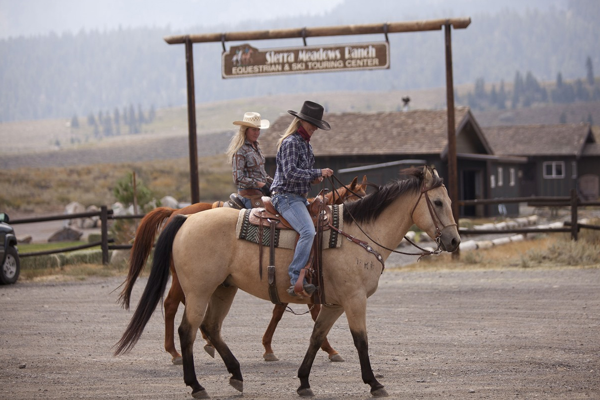 Two riders on horseback