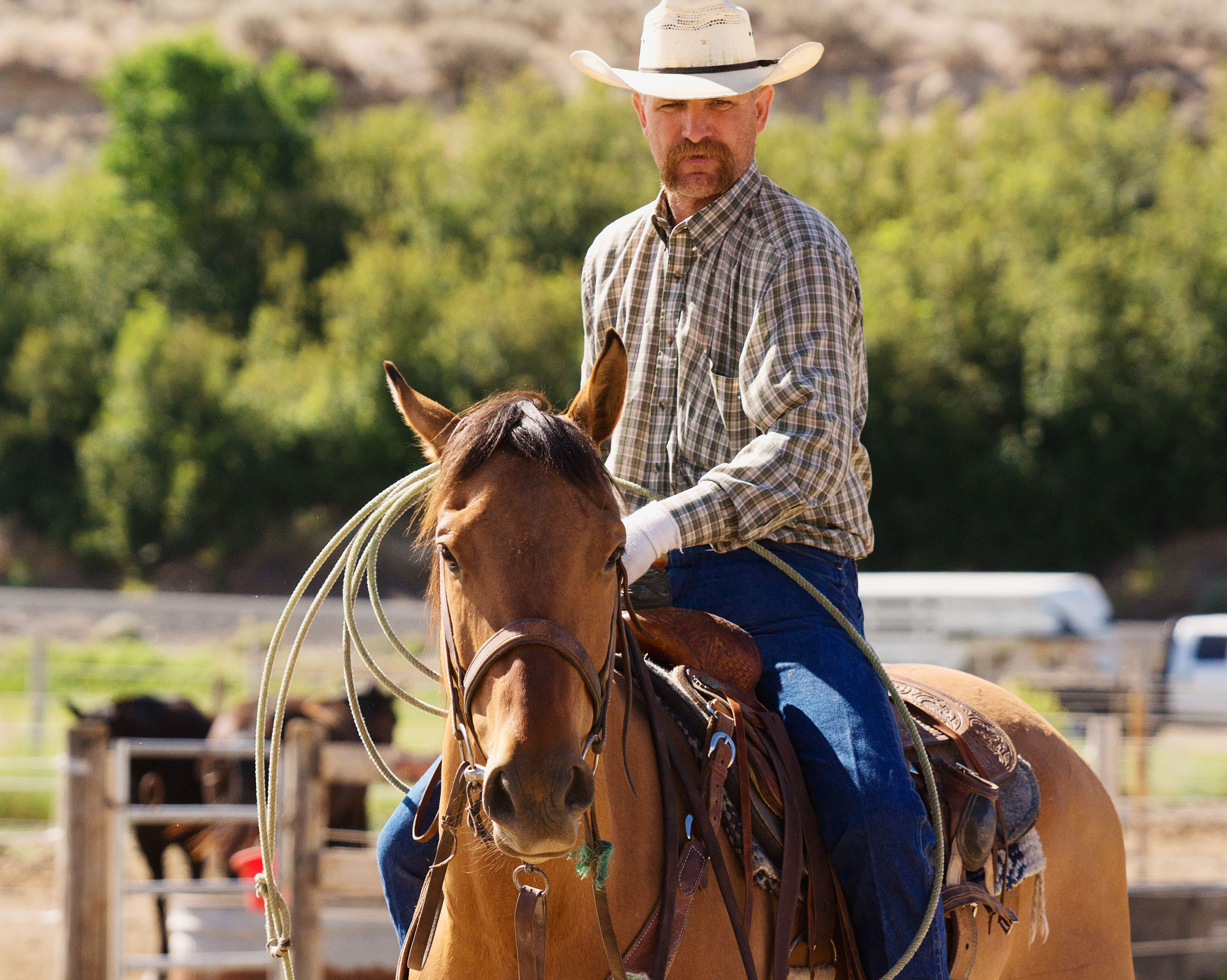 Man riding horse with lariat
