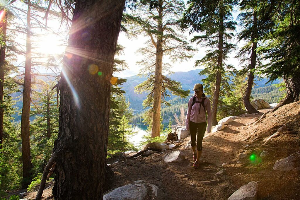 A woman hiking through a forest in mammoth lakes basin.