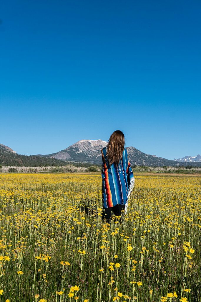 A woman standing in a field of yellow flowers near sierra meadows ranch with mammoth mountain in the background.