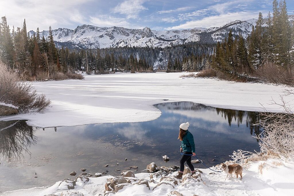 Young person with dog walks along frozen lake shore